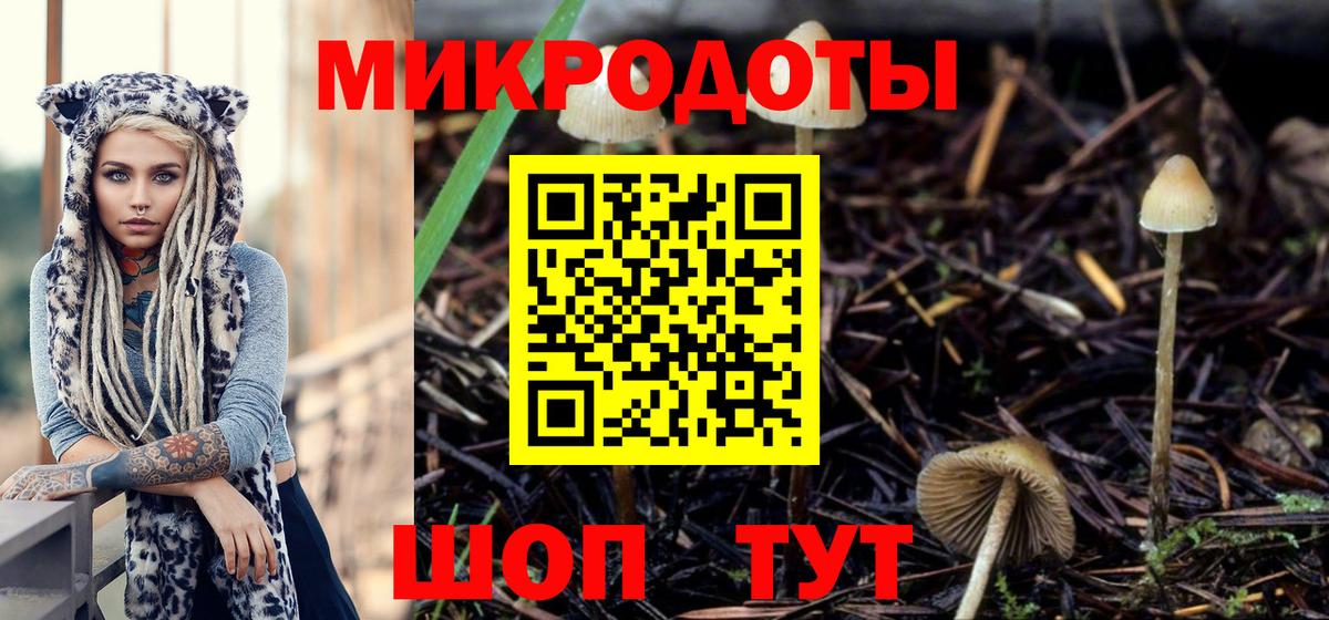 Новочебоксарск  Галлюциногенные грибы Psilocybe  Вход с VPN  продажа наркотиков  Галлюциногенные грибы MAGIC MUSHROOMS 
